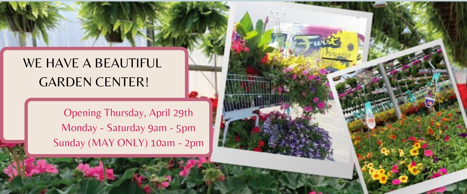 Jasmine Wade Oberer's Flowers Dayton Coupons Oberer S Flowers Home